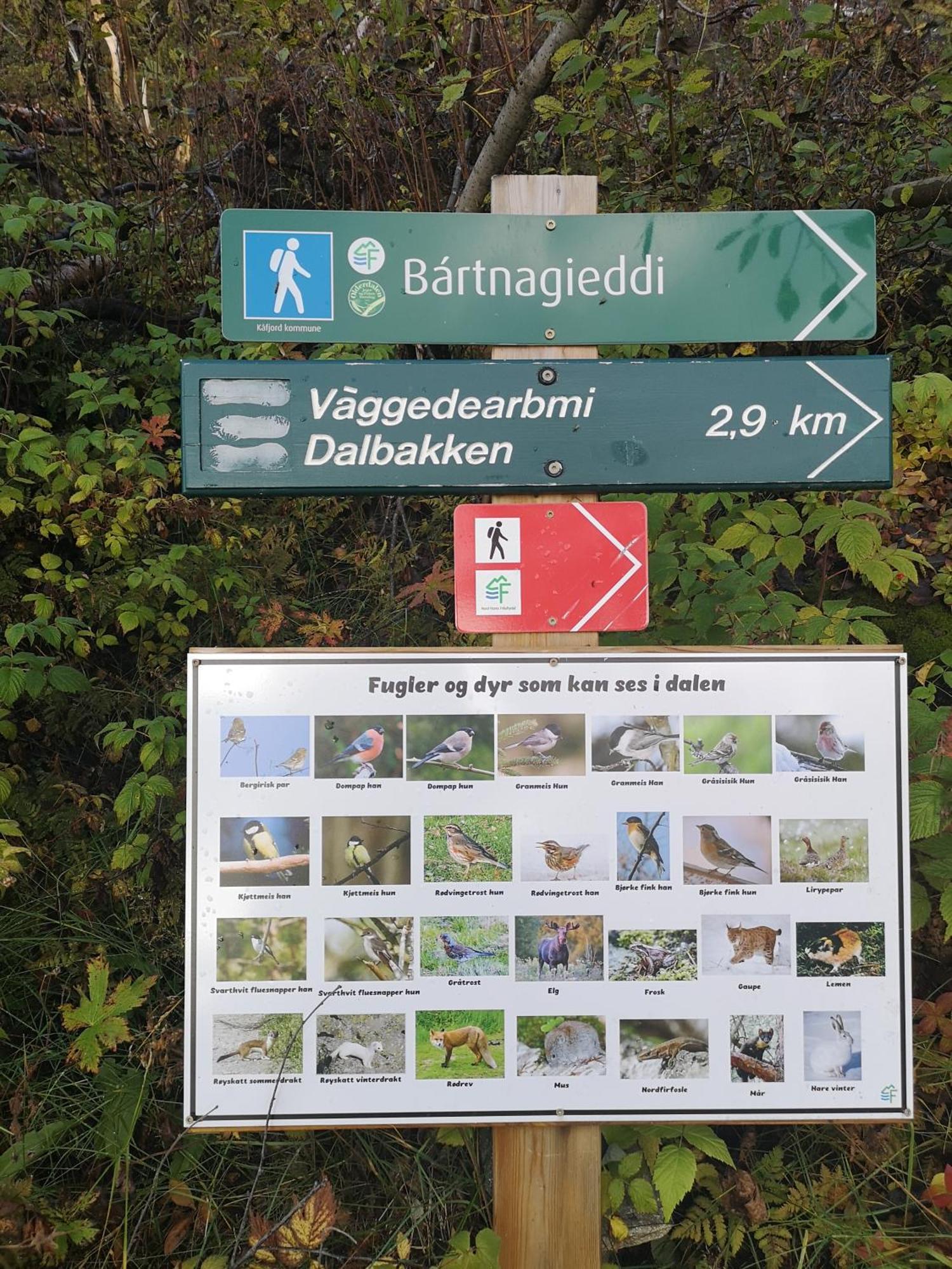 Best No1 Manndalen Esterno foto